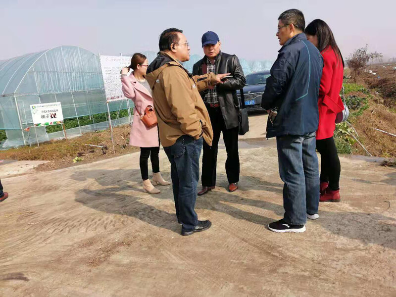 外出调研